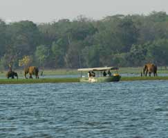 Mysore Trip